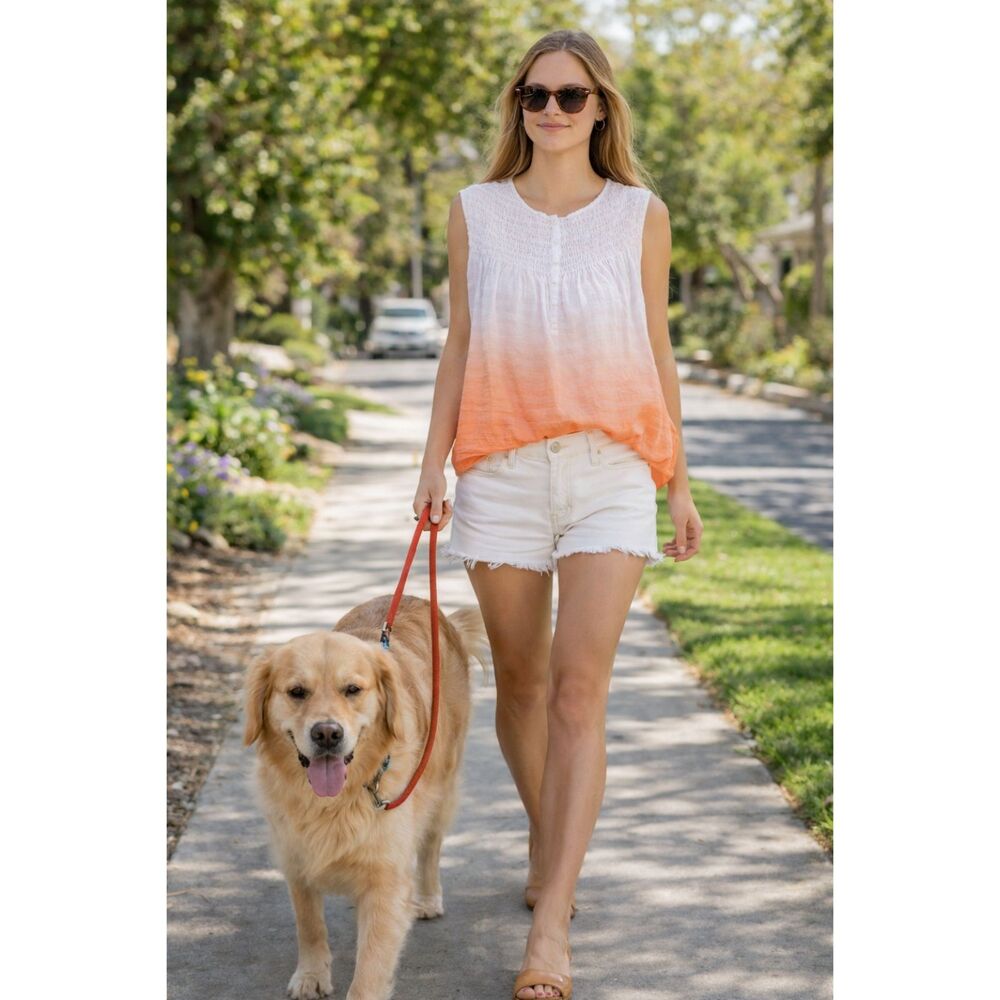 NWT Free People Smocked Henley Ombre Blue Sleeveless Blouse Size M